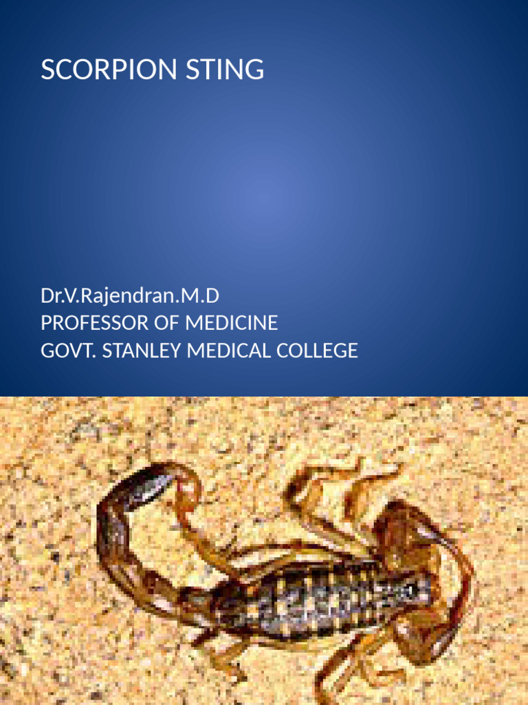 Scorpion Final | PDF