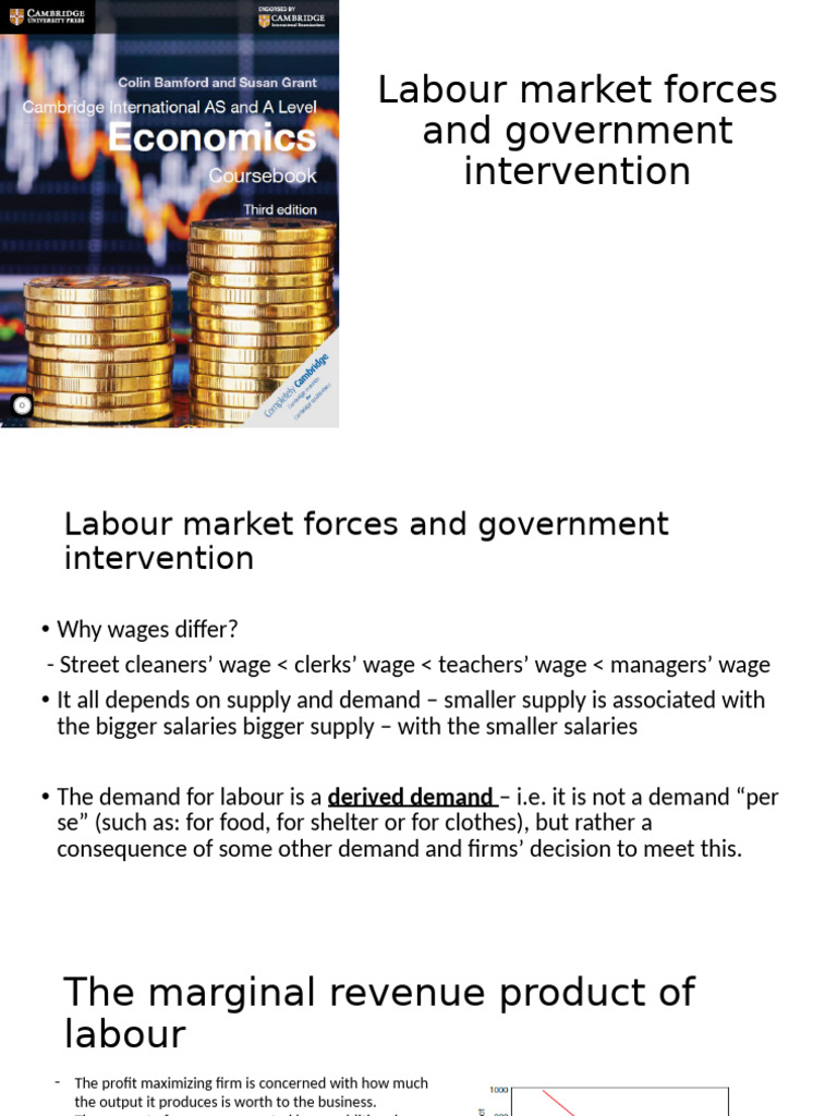 Chapter 8 - Labour Market Forces and Government Intervention | PDF