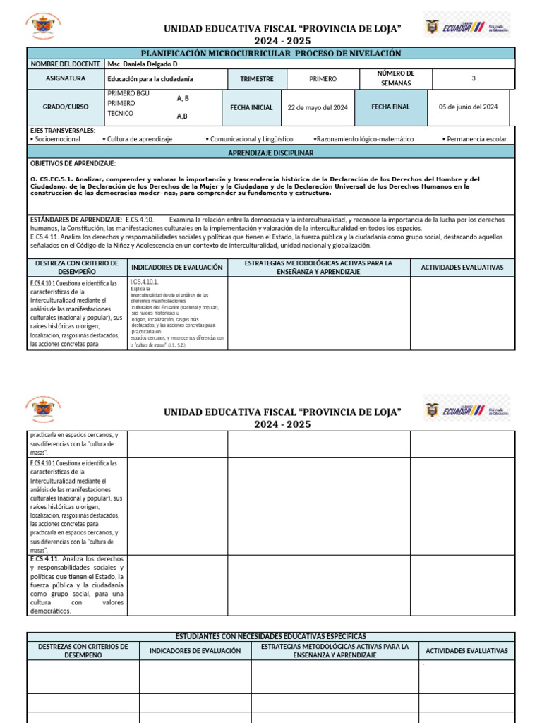 Formato Pud | PDF