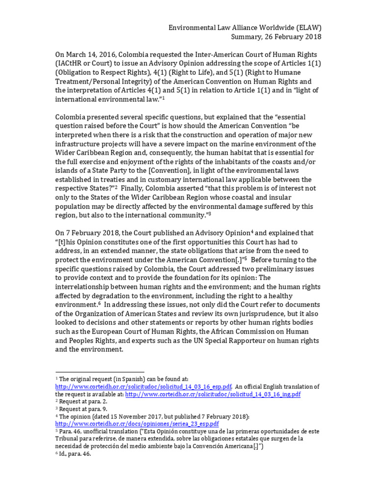 Iachr Summary Elaw | PDF