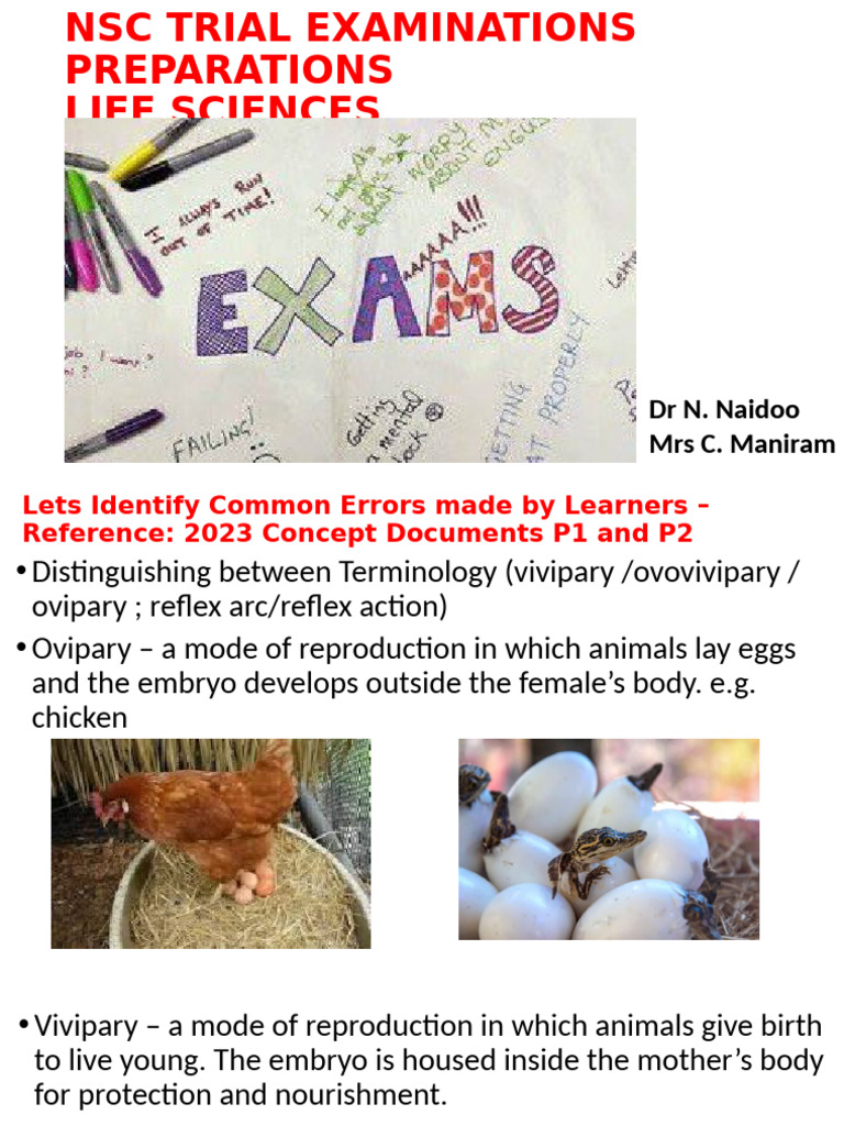 2024 NSC Trial Examinationsworkshop Ed | PDF