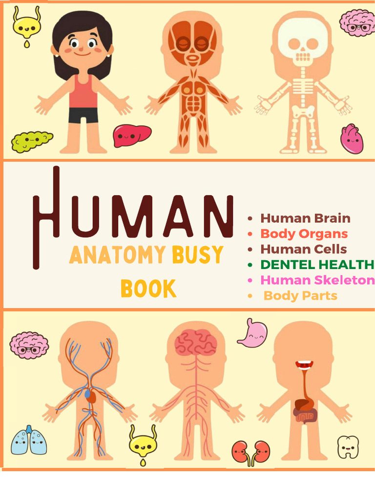 Human Body Kids Learn | PDF