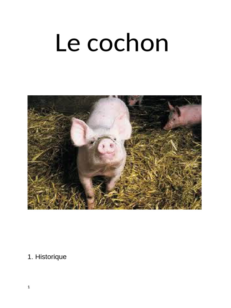 Le Cochon | PDF