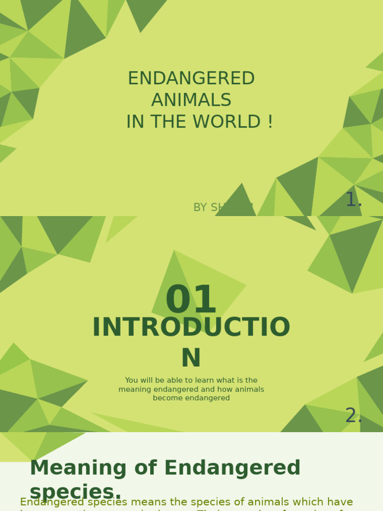 Endangered Species of Animals | PDF