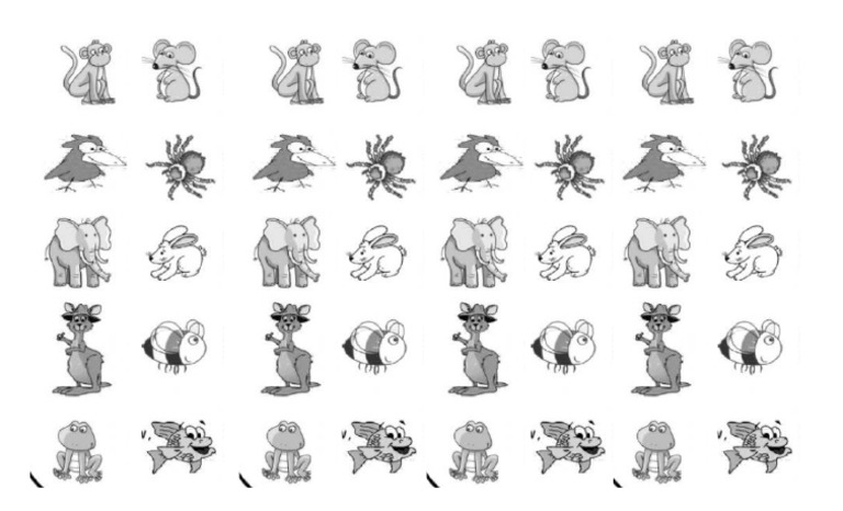 Animals | PDF