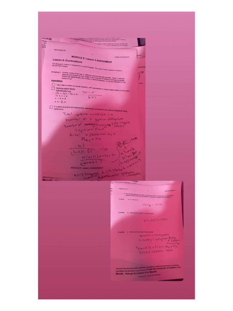 Module 8 Lesson 3 Pdf