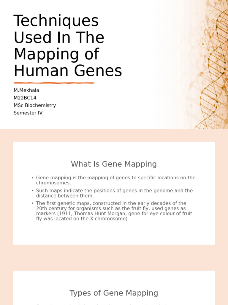 Techniques Used For The Mapping of Human Genes | PDF
