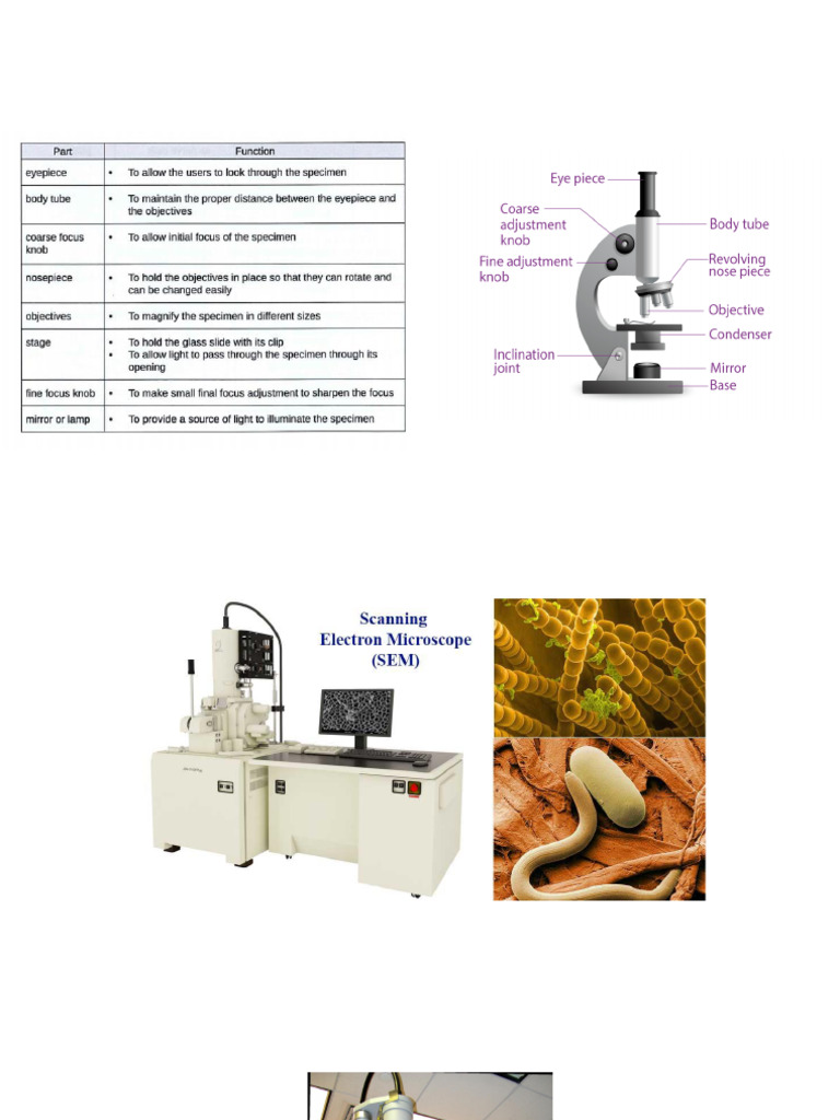 Microscope | PDF