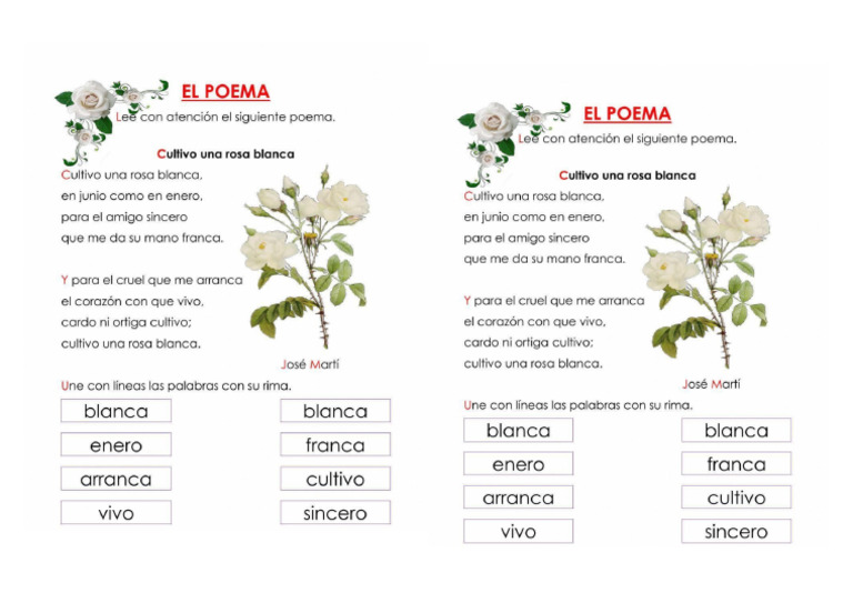 ROSA | PDF