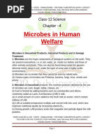 Class 12 Evolution Notes Summary | PDF | Evolution | Natural Selection
