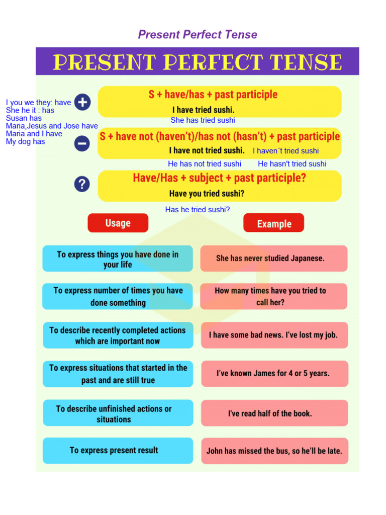 Present perfect practice answers pdf
