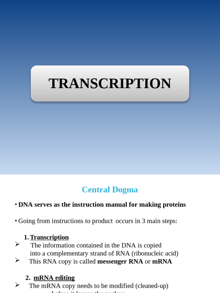 Transcription Complete | PDF | Promoter (Genetics) | Science & Mathematics