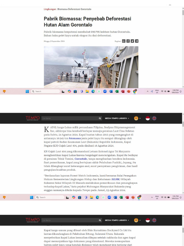 Kerusakan hutan di Gorontalo Utara akibat deforestasi