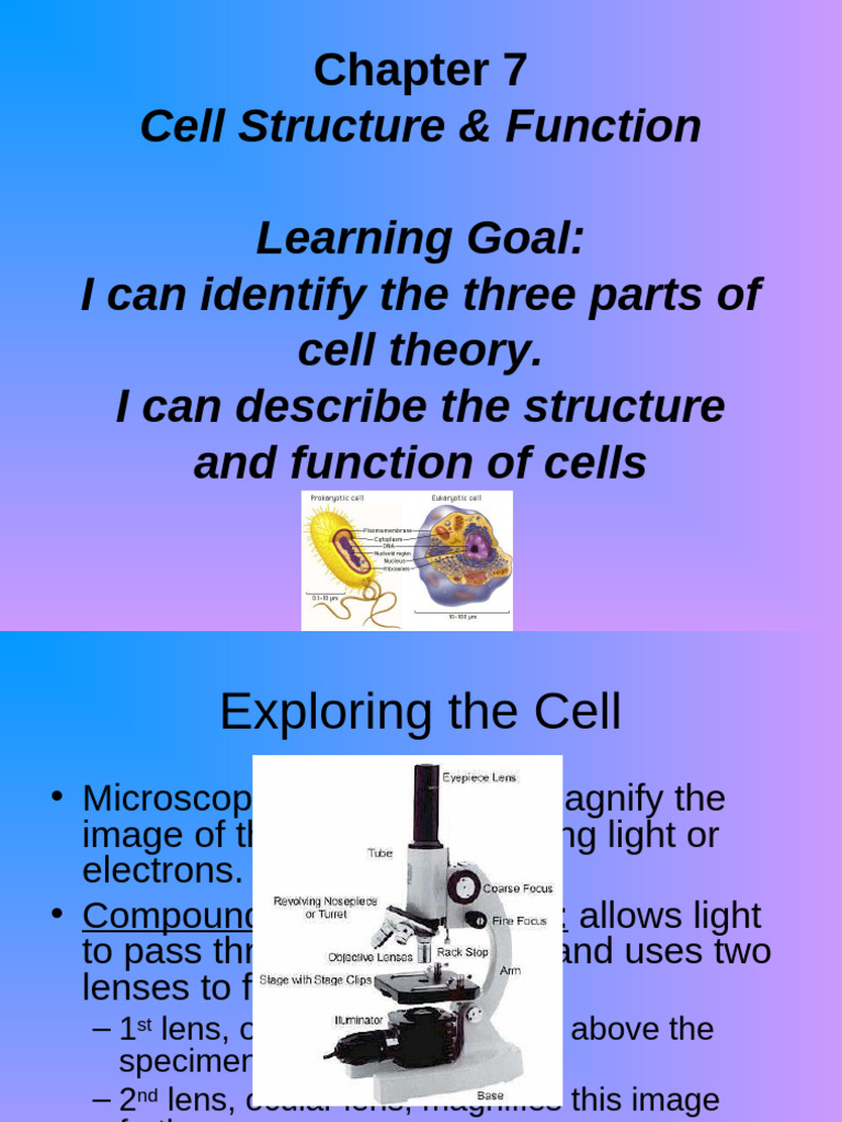 CH 7 Cell Structure and Function | PDF