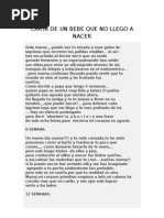 Carta de Un Bebe Que No Llego A Nacer