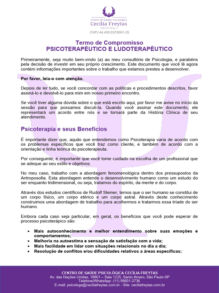Termo de Compromisso Modelo | PDF