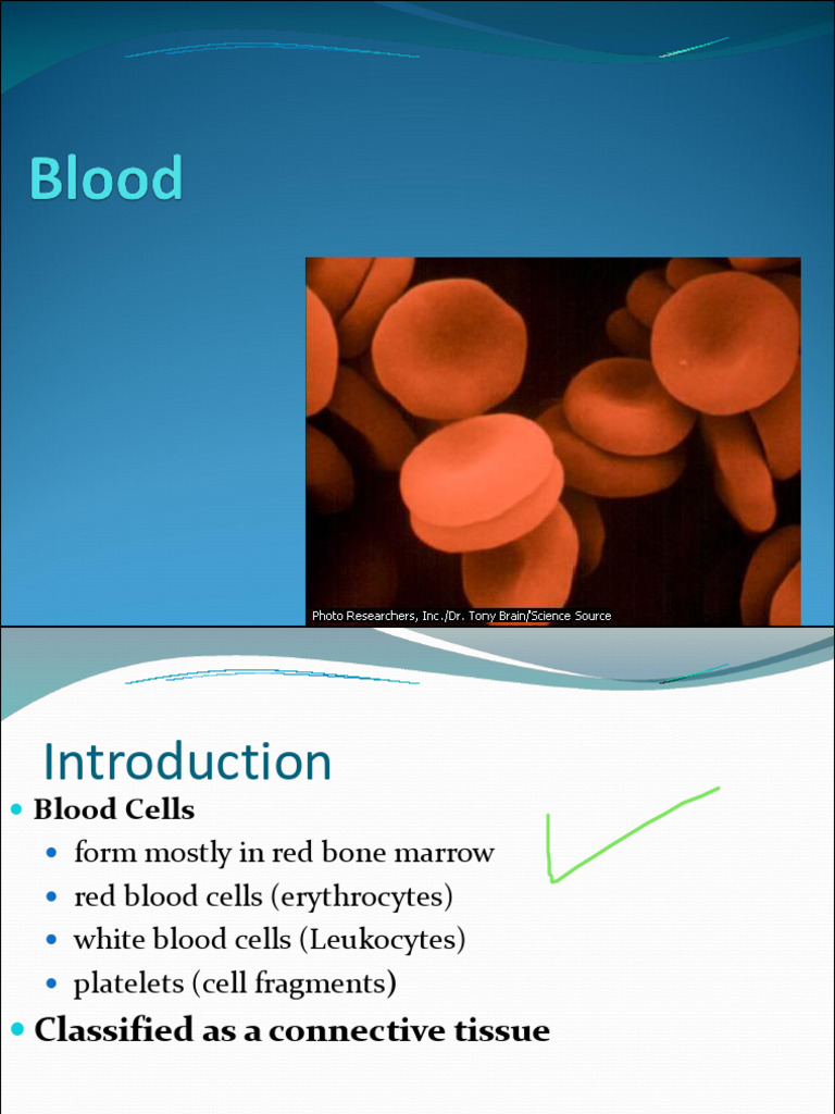 Blood | PDF