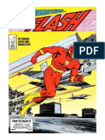 Flash-v2-001-(01)