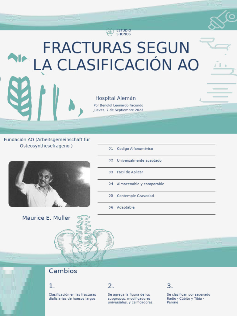 Fracturas Segun La Clasificación Ao | PDF