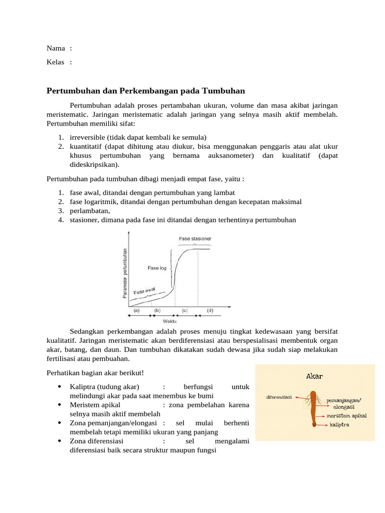 Biologi Rangkuman Perkembangan Tumbuhan | PDF
