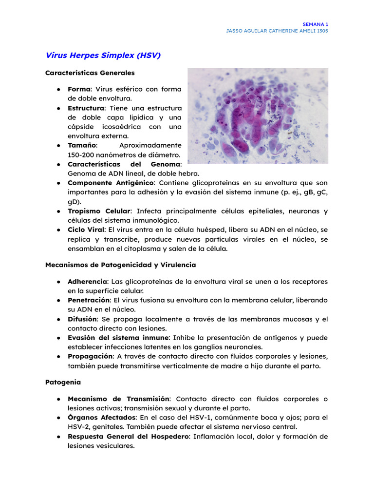 Jasso Aguilar - Catherine Ameli - S3M5 - 1305 | PDF