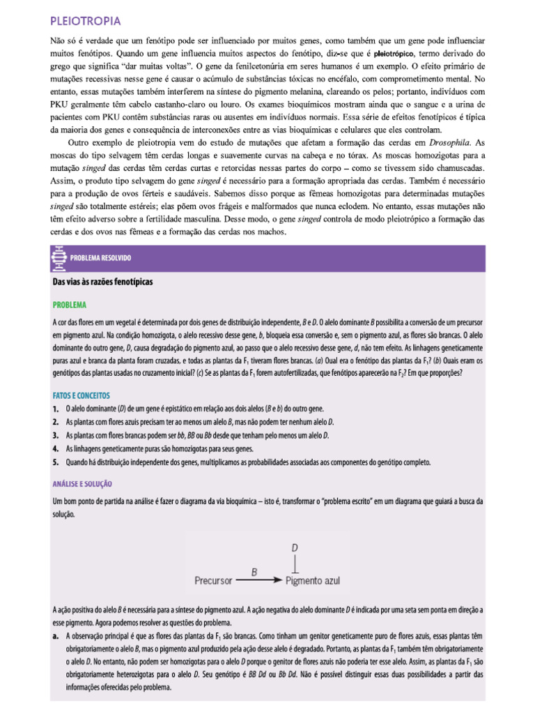 Resolução Aula 06 | PDF