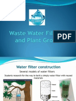 Water Filtration Seeds