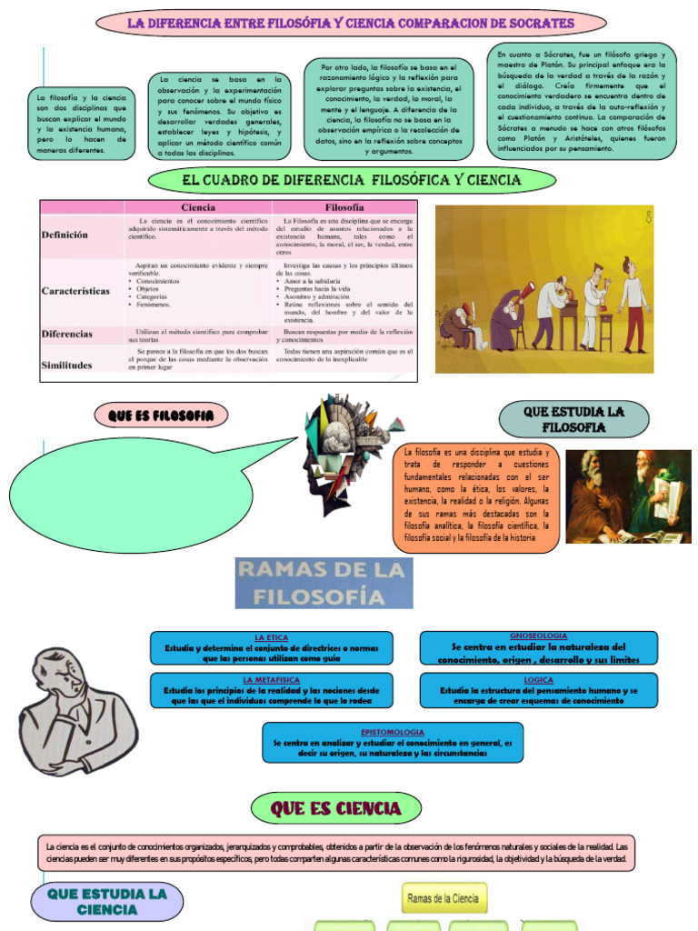 Grupo 3-Filo | PDF