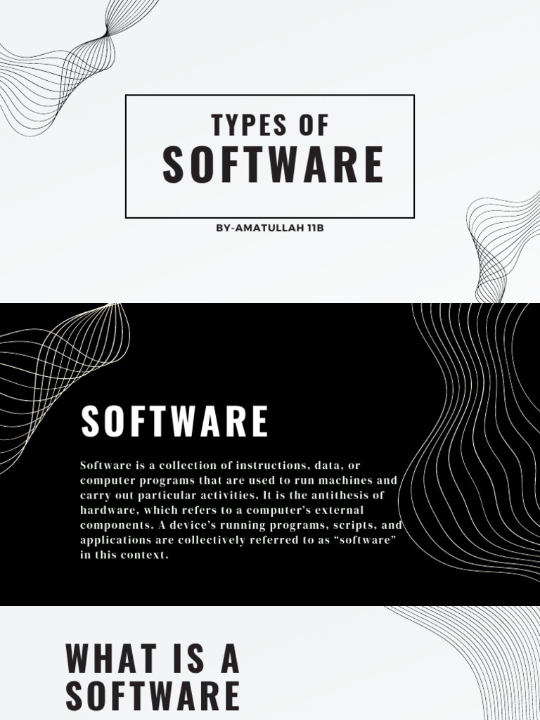 Types of Software | PDF