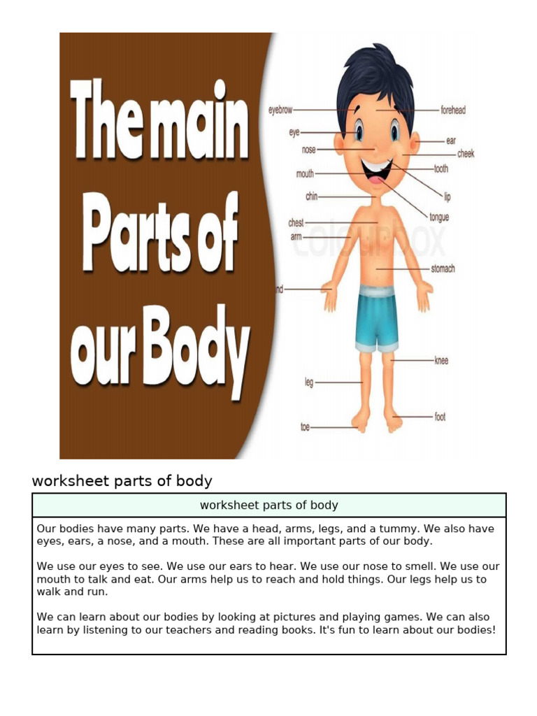 Worksheet Parts of Body - by Diffit (Digital) | PDF