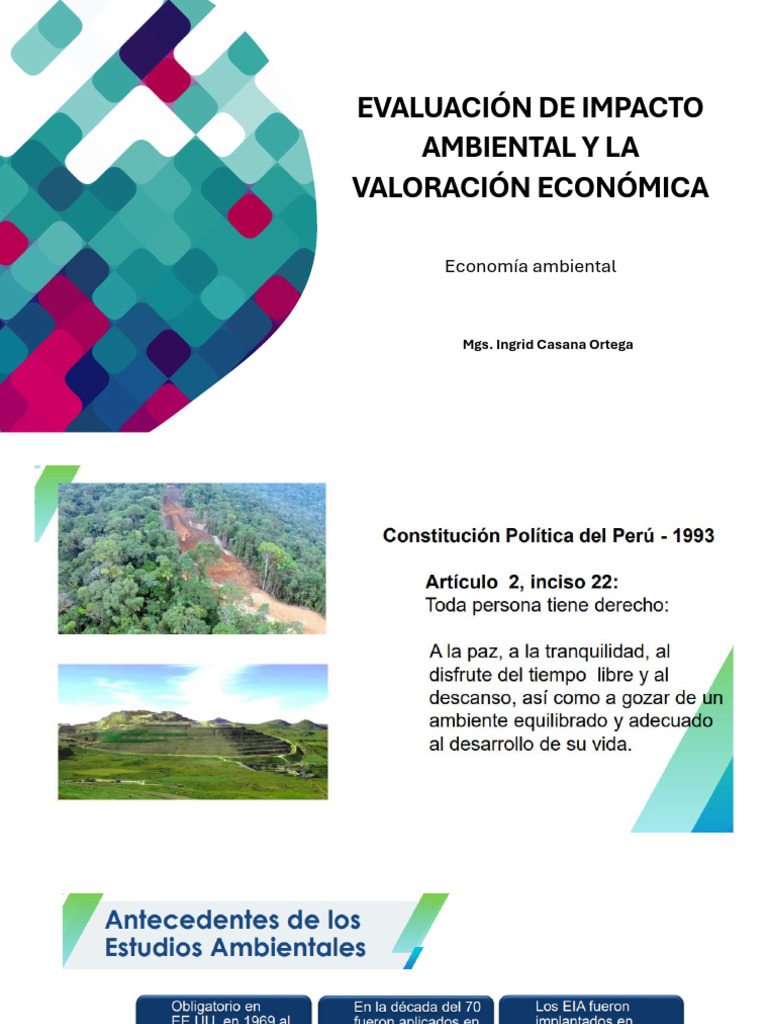 Evaluación de Impacto Ambiental y La Valoración Económica | PDF