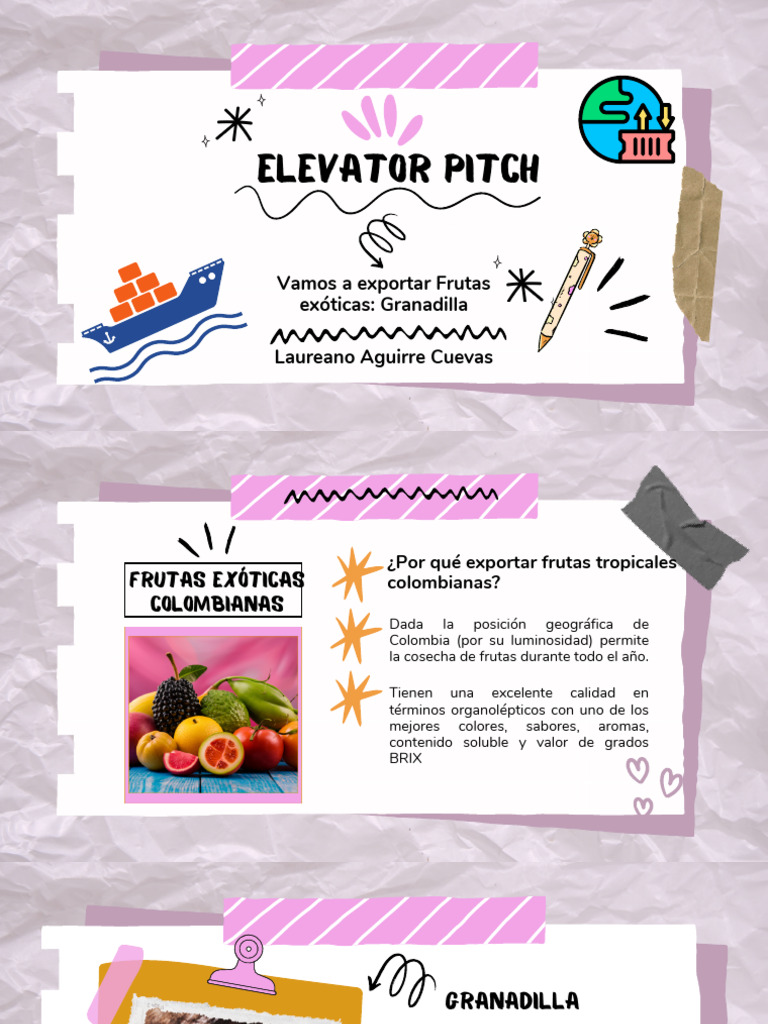 Elevator Pitch Pdf