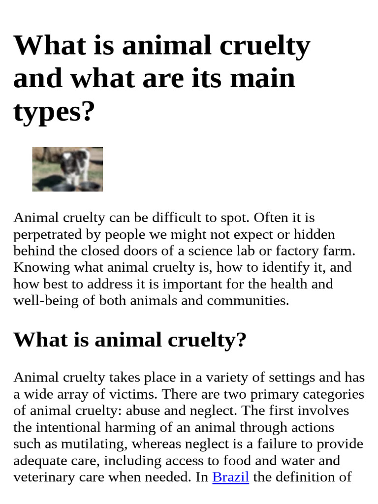 Two Main Types Of Animal Cruelty