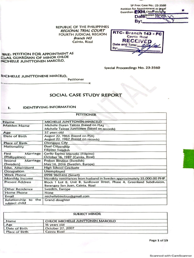 Social Case Study Report | PDF