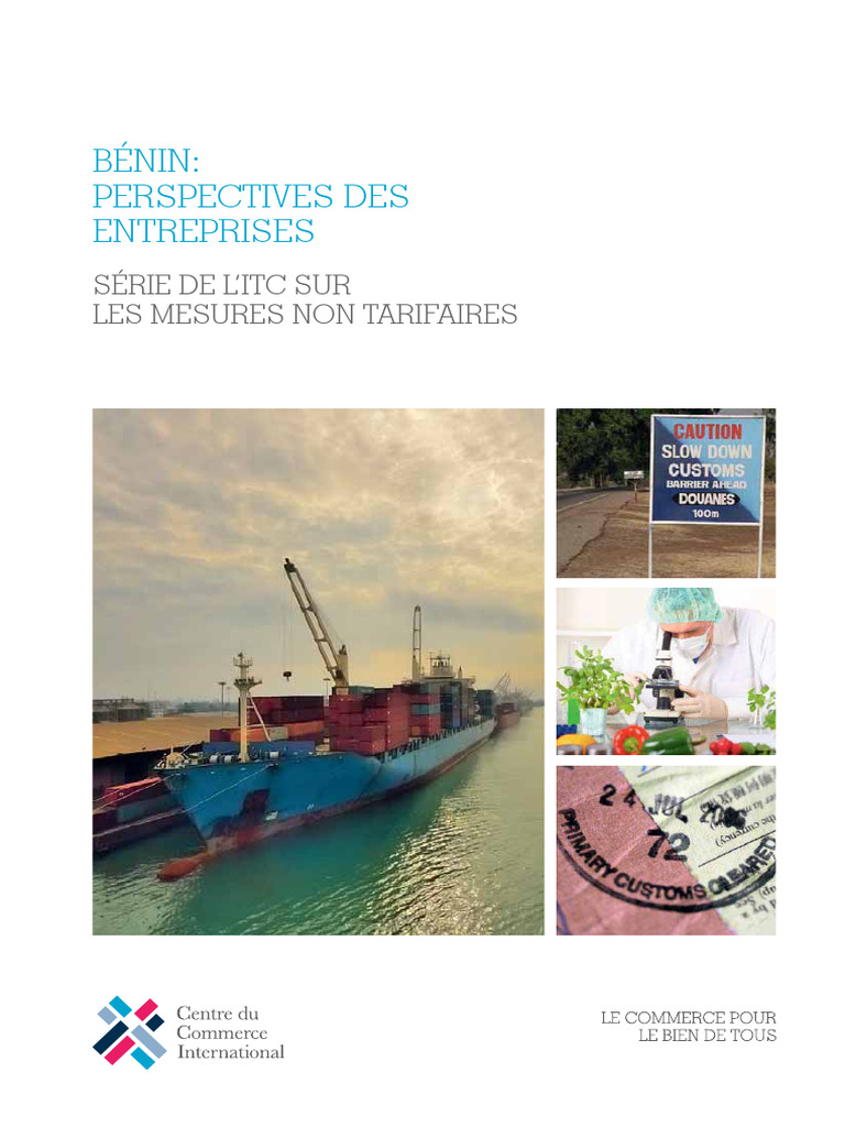 Benrapportfinal 17 Lowrespdf | PDF
