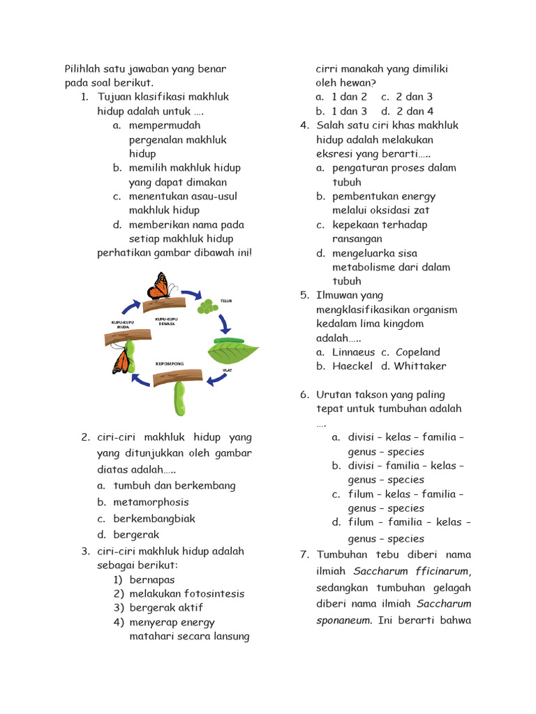 Latihan Soal Kelas 7 N Pdf