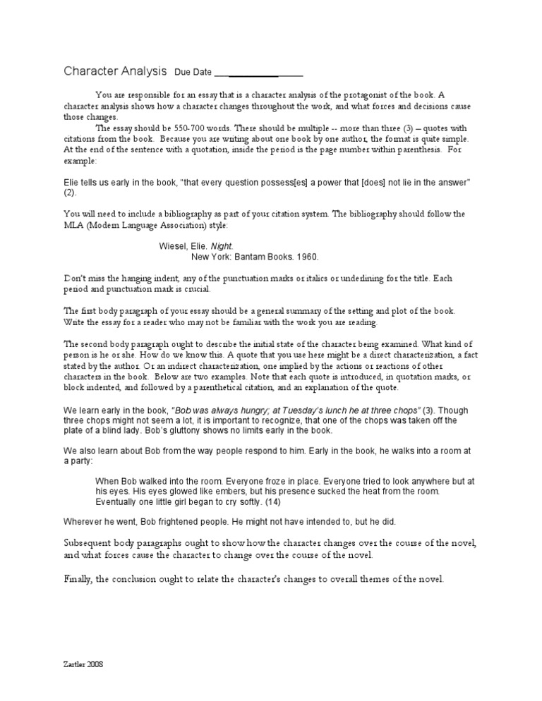Character analysis essay example image