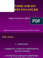 Apoptosis and Its Relation To Cancer: Engin Ulukaya (MD, PHD)