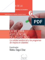 Tomo 6 - La Mejora Asistencial Del Diabético