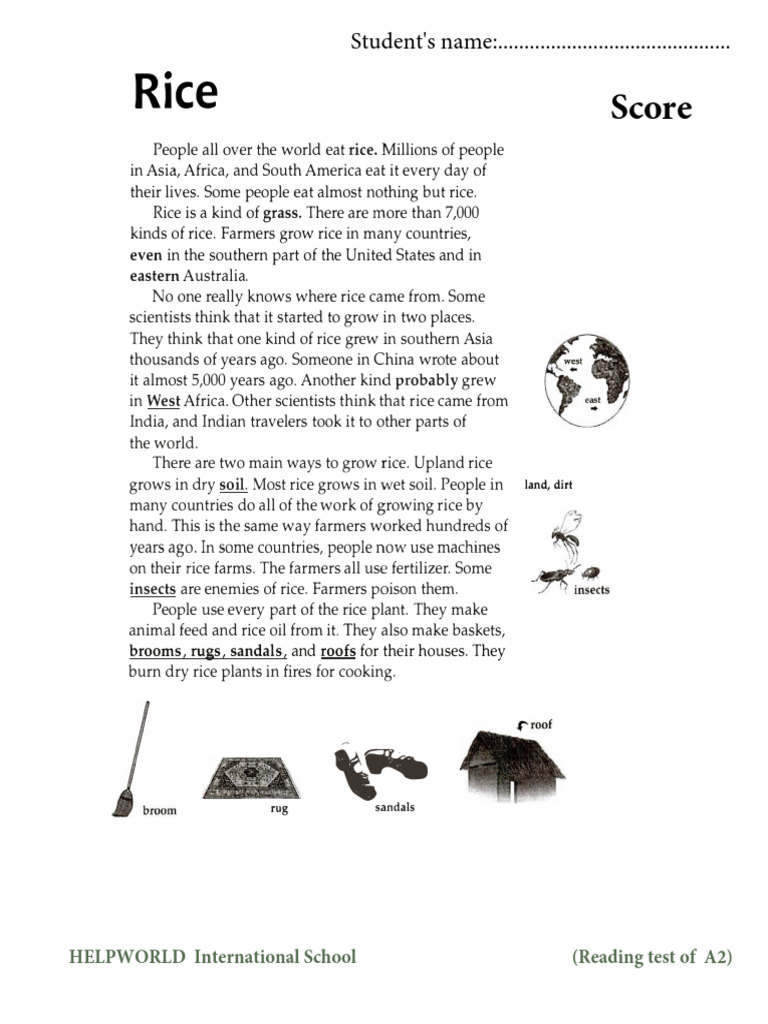 Facts and Figer | PDF