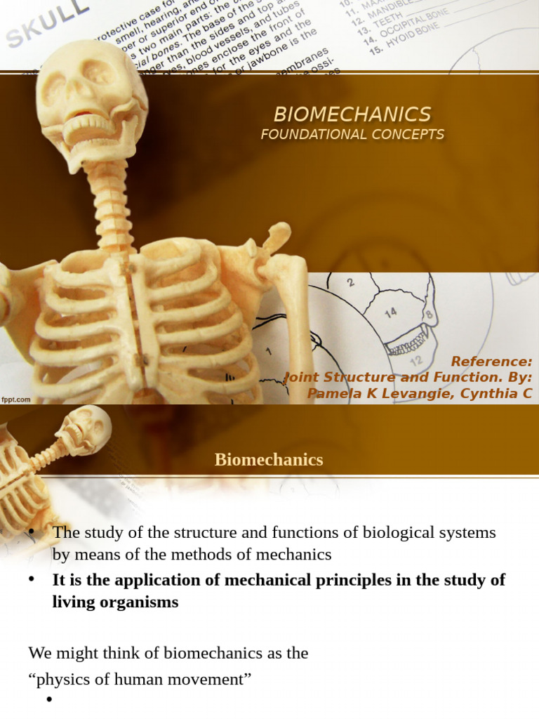 Understanding Biomechanics Basics | PDF | Force | Kinematics