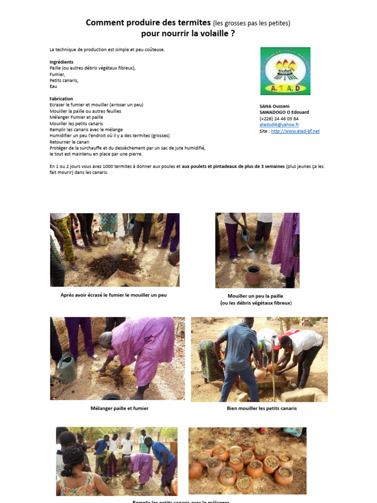 Produire-des-Termites_Diaporama | PDF