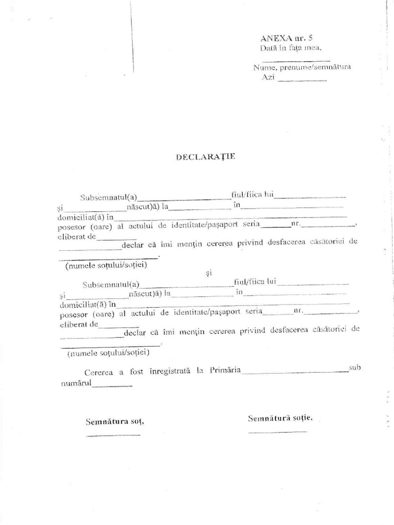 Declaratie Divort | PDF