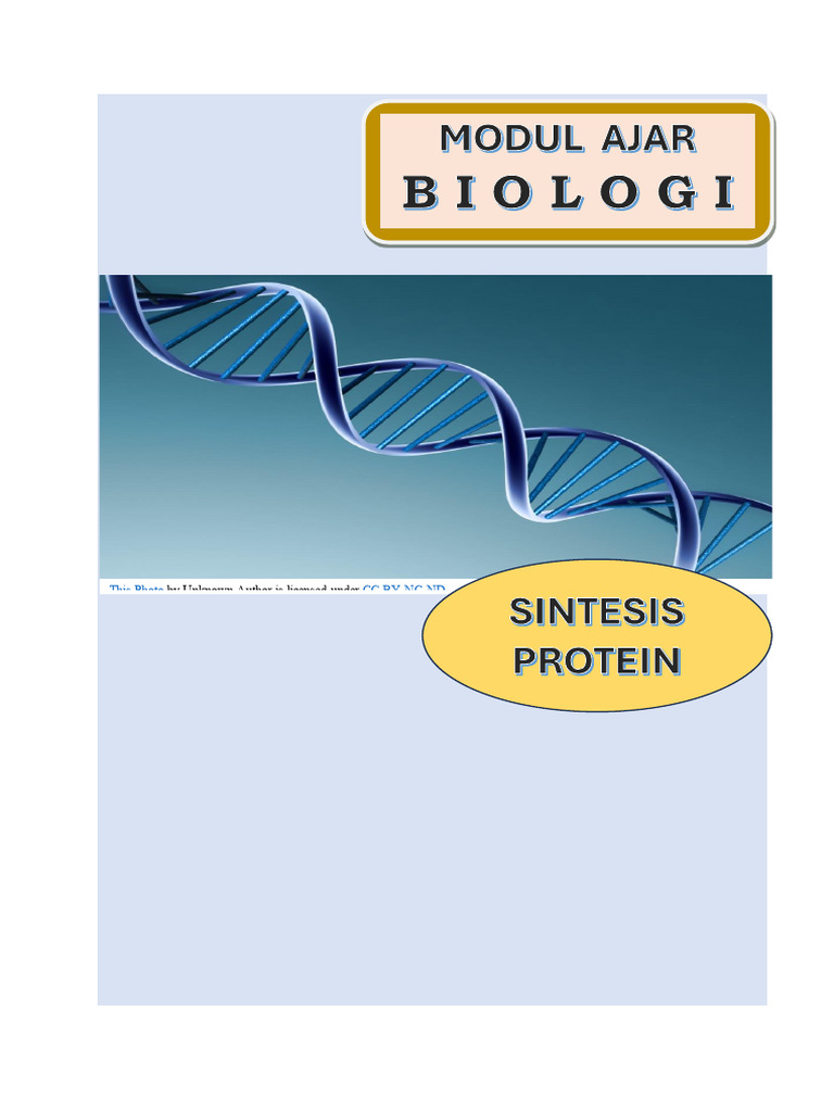 Modul Ajar Sintesis Protein Kelas 12 | PDF