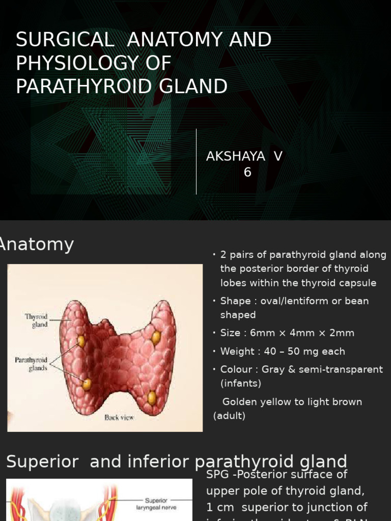 Anatomy and Physiology of Parathyroid Gland | PDF