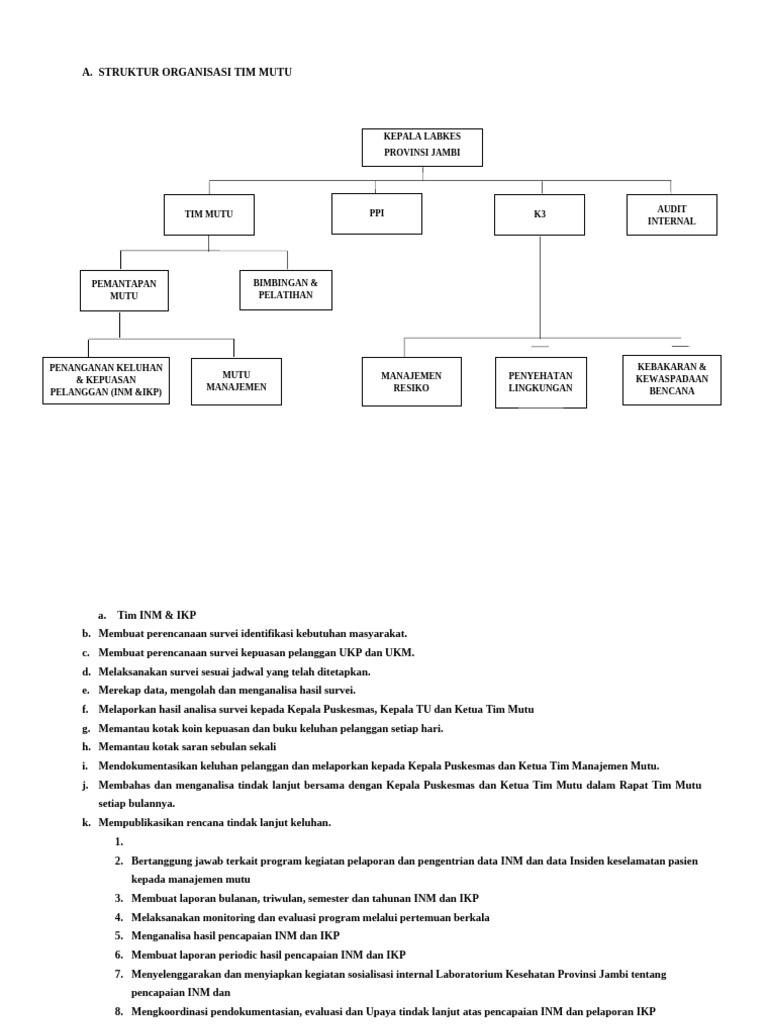 Struktur Organisasi Tim Mutu 1 | PDF