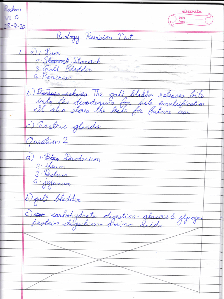Biology Revision Test Class 6 | PDF
