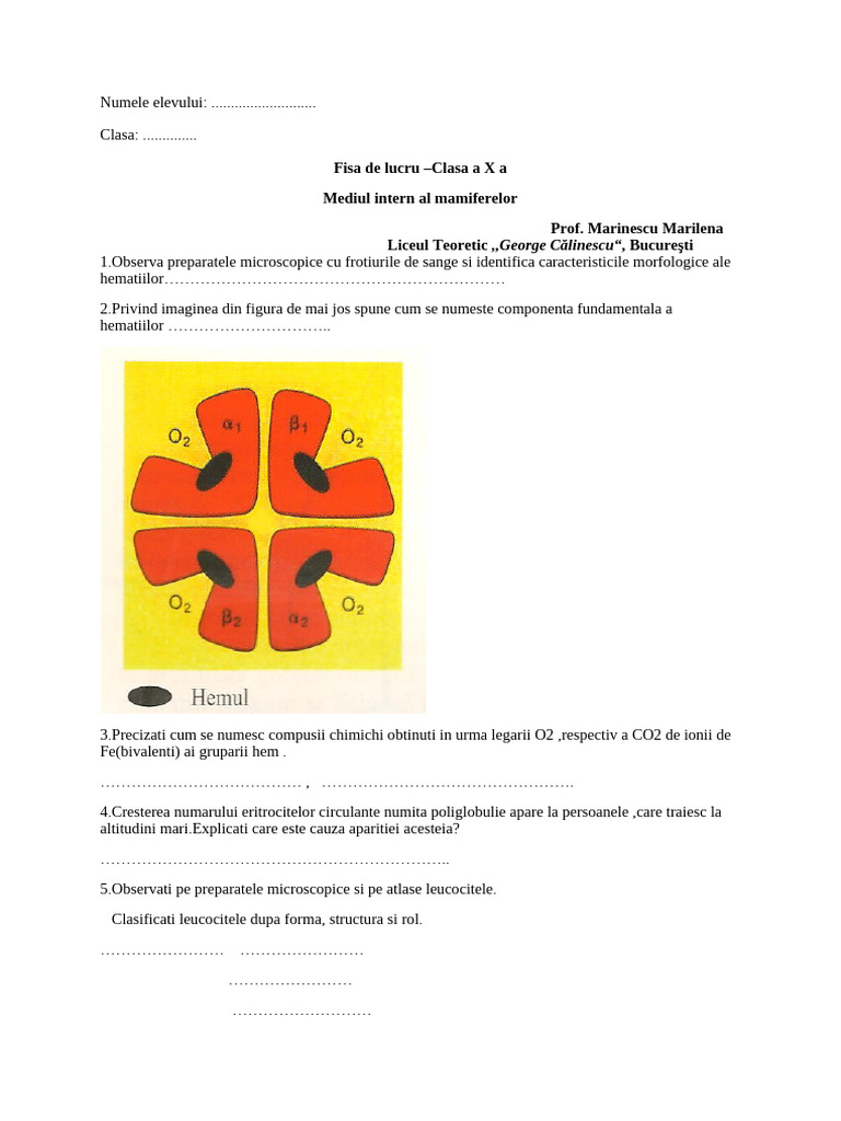 Fisa de Lucru - Doc Mediul Intern | PDF