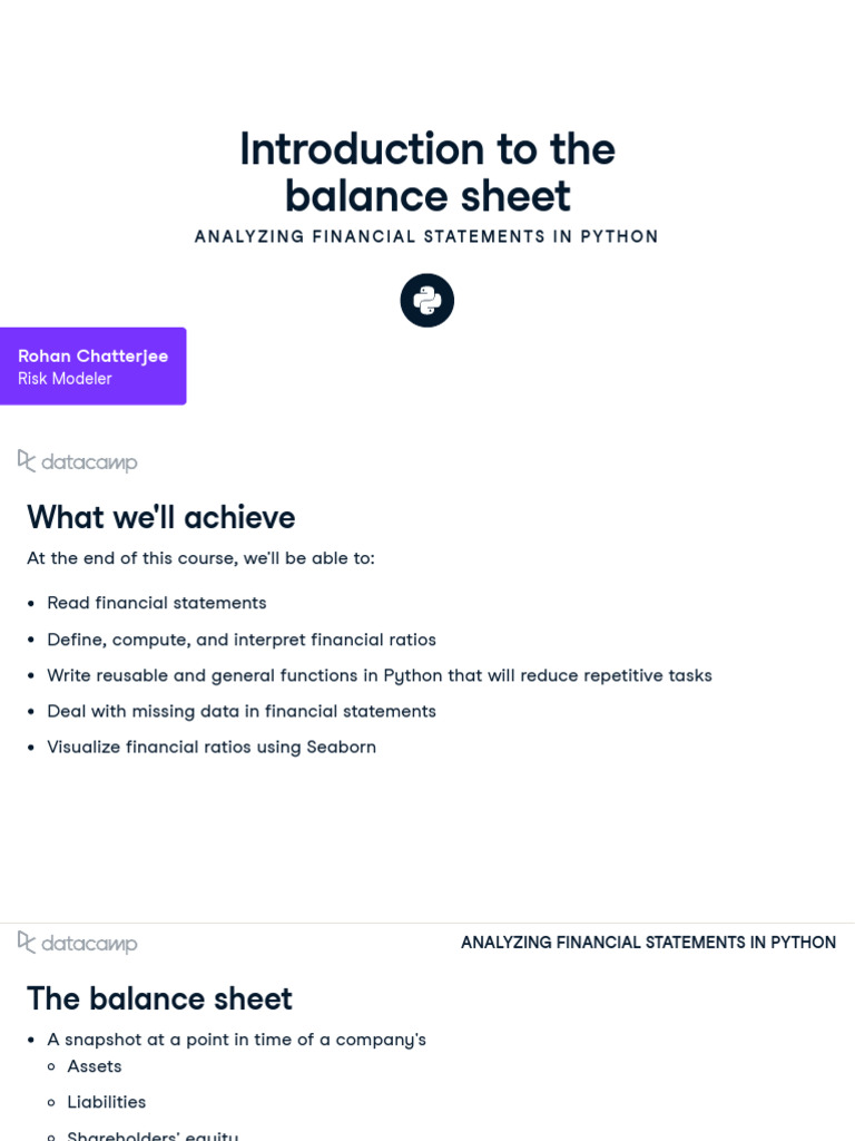 Chapter 1 - Analyzing Balance Sheet in Python | PDF