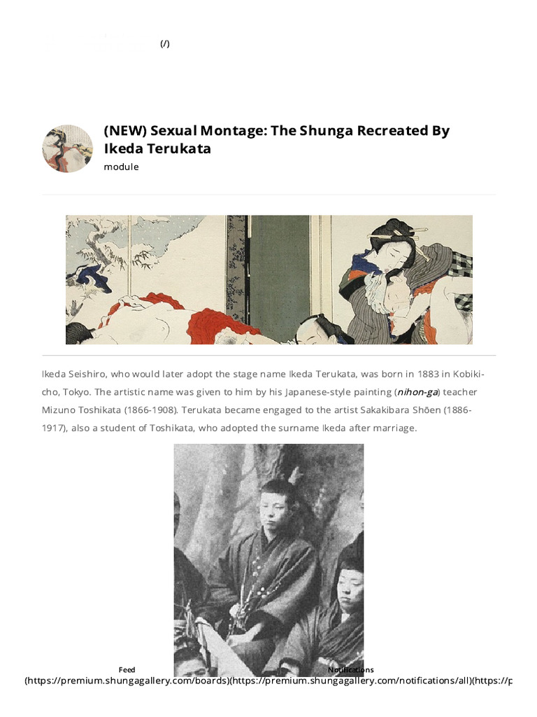 (NEW) Sexual Montage - The Shunga Recreated by Ikeda Terukata | PDF